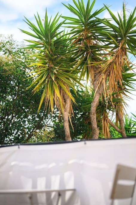 La Villa Julia - Calme - Spacieux - Parking Prive - Climatisation Mentona Zewnętrze zdjęcie